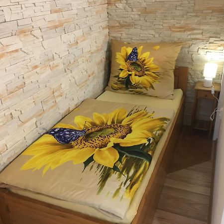 Apartman Slunecnice S Terasou 체스케부데요비체 외부 사진