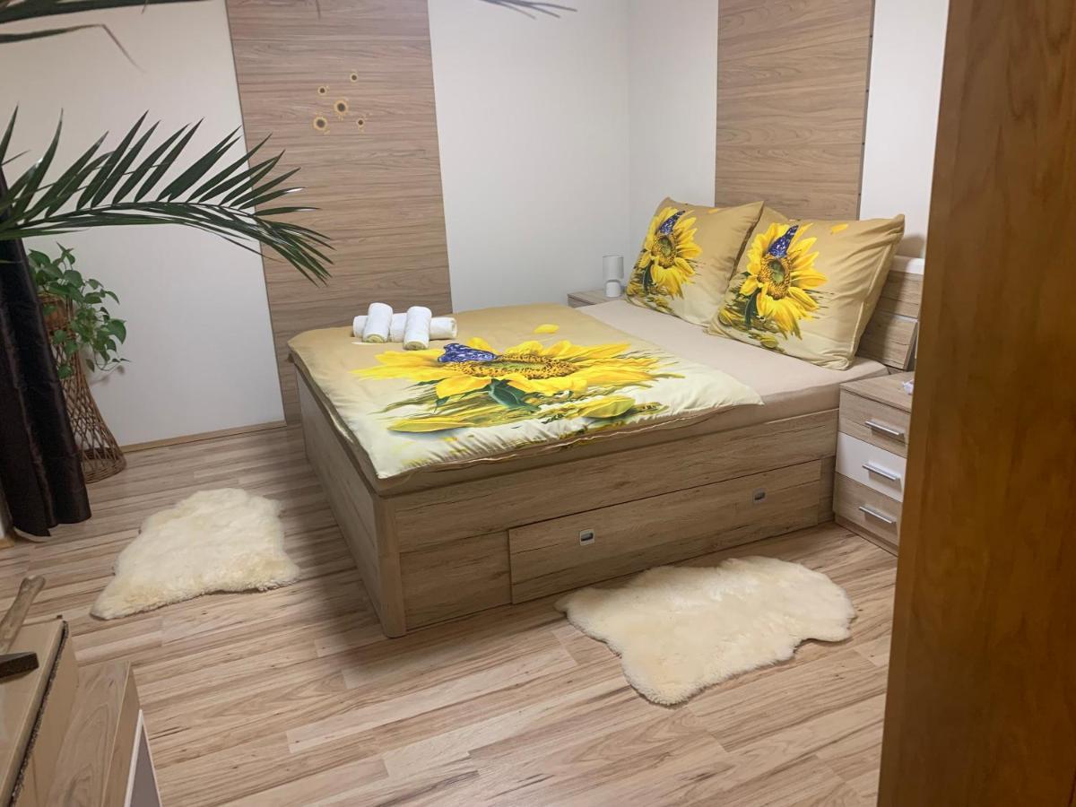 Apartman Slunecnice S Terasou 체스케부데요비체 외부 사진
