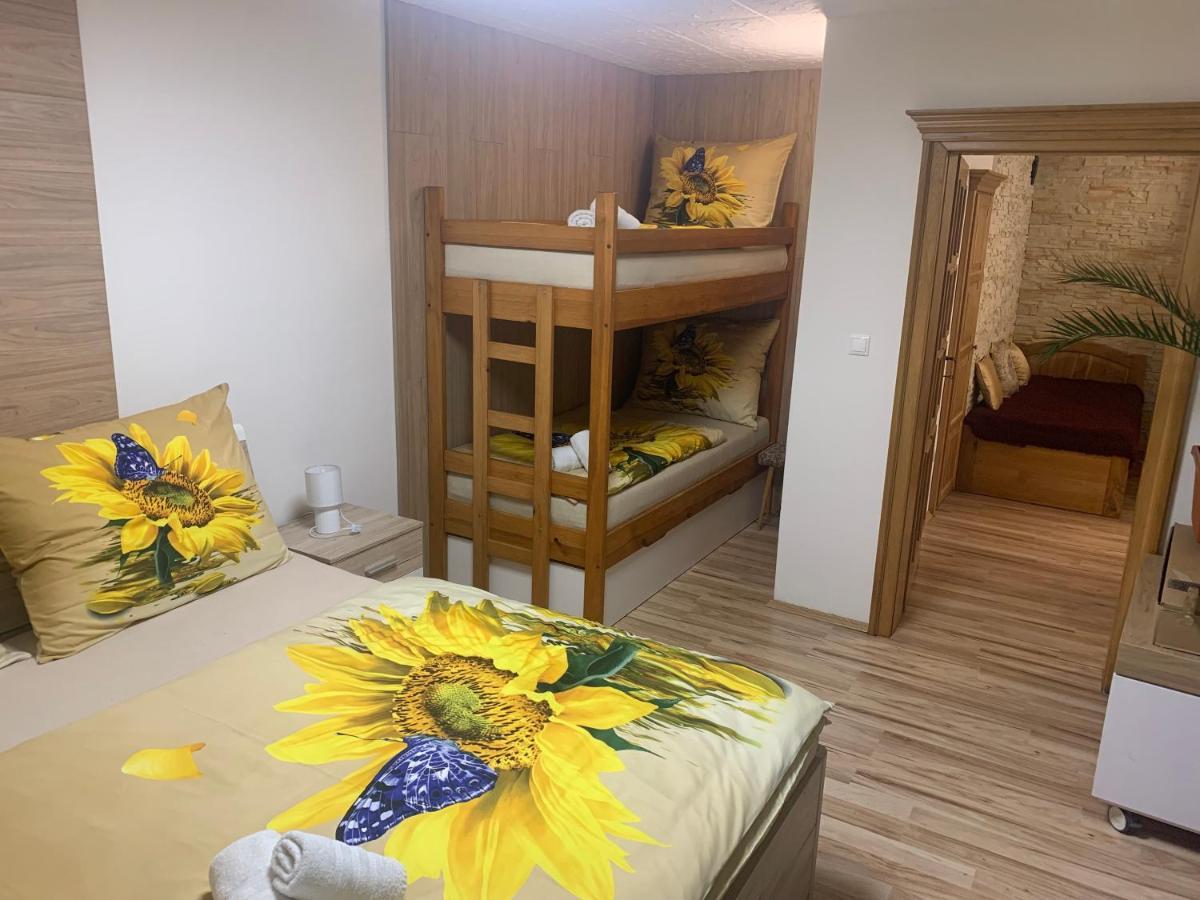 Apartman Slunecnice S Terasou 체스케부데요비체 외부 사진