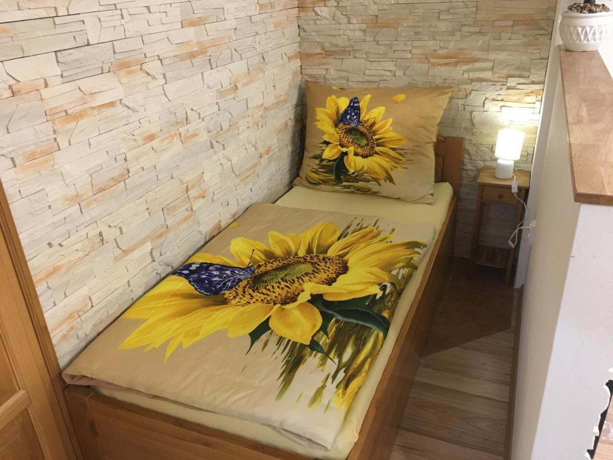 Apartman Slunecnice S Terasou 체스케부데요비체 외부 사진