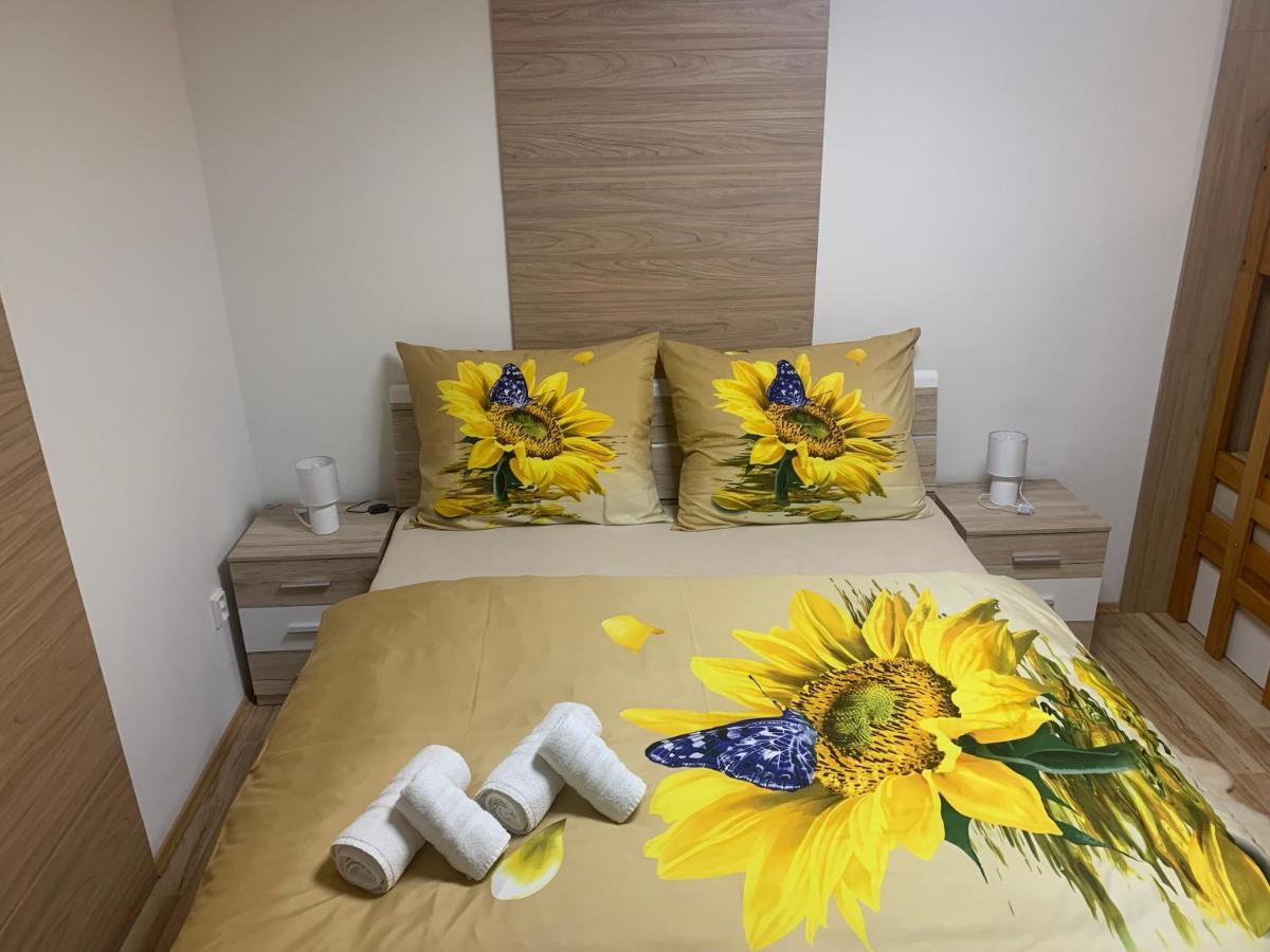 Apartman Slunecnice S Terasou 체스케부데요비체 외부 사진