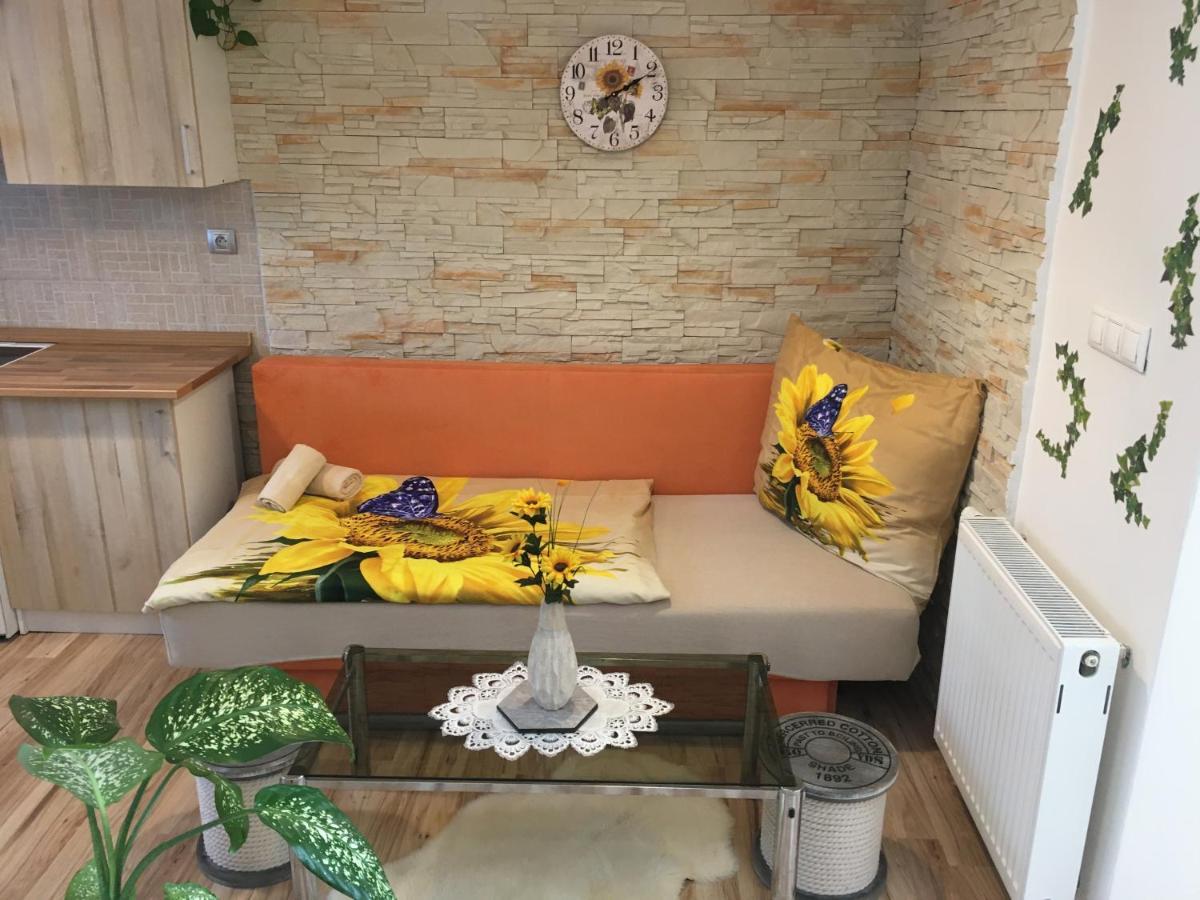 Apartman Slunecnice S Terasou 체스케부데요비체 외부 사진