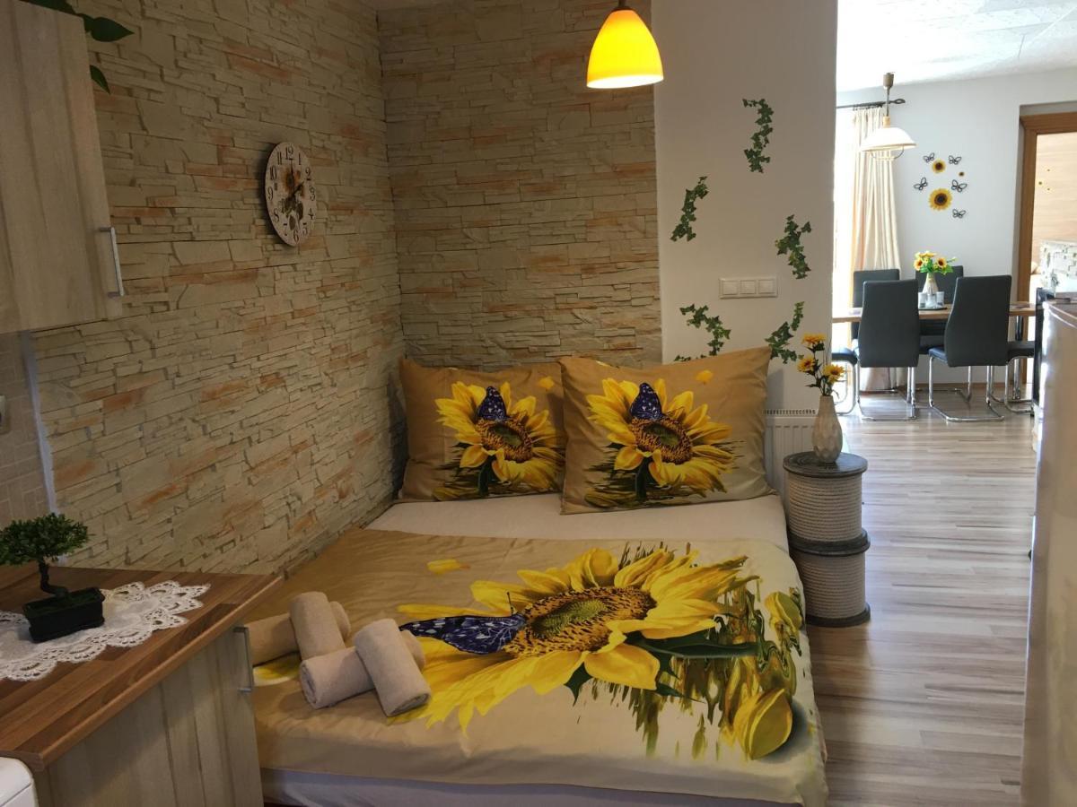 Apartman Slunecnice S Terasou 체스케부데요비체 외부 사진
