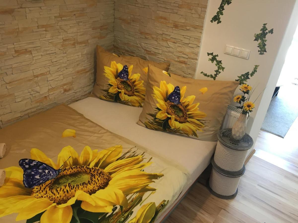 Apartman Slunecnice S Terasou 체스케부데요비체 외부 사진